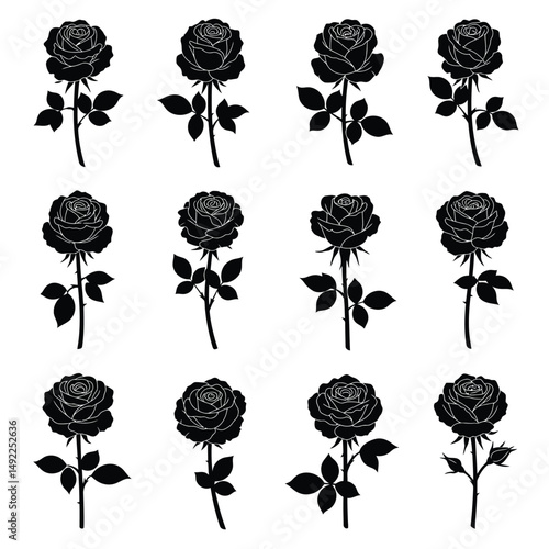 This beautifully crafted vector illustration features an elegant rose flower, showcasing intricate petal details and a timeless design. The image highlights the delicate curves and textures of the ros