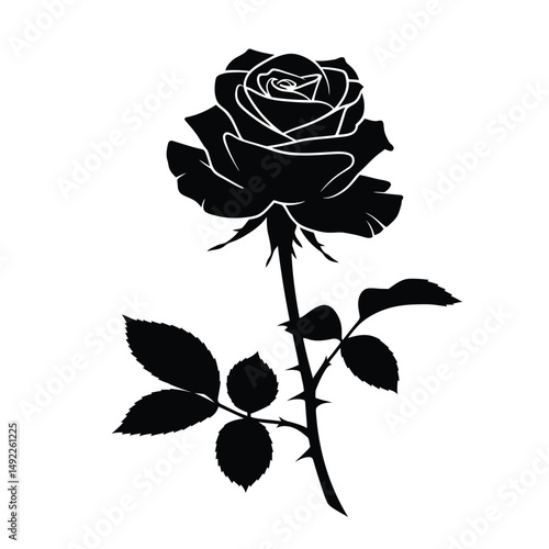 This beautifully crafted vector illustration features an elegant rose flower, showcasing intricate petal details and a timeless design. The image highlights the delicate curves and textures of the ros