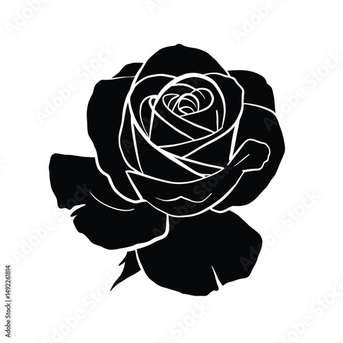 This beautifully crafted vector illustration features an elegant rose flower, showcasing intricate petal details and a timeless design. The image highlights the delicate curves and textures of the ros