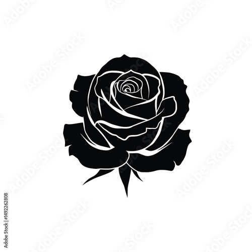 This beautifully crafted vector illustration features an elegant rose flower, showcasing intricate petal details and a timeless design. The image highlights the delicate curves and textures of the ros