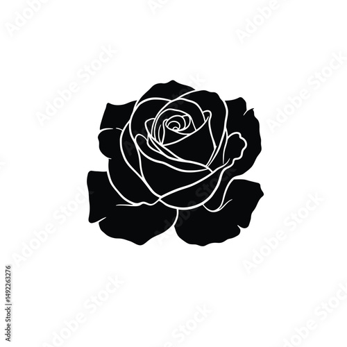 This beautifully crafted vector illustration features an elegant rose flower, showcasing intricate petal details and a timeless design. The image highlights the delicate curves and textures of the ros