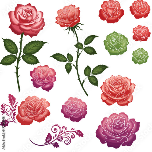 This beautifully crafted vector illustration features an elegant rose flower, showcasing intricate petal details and a timeless design. The image highlights the delicate curves and textures of the ros