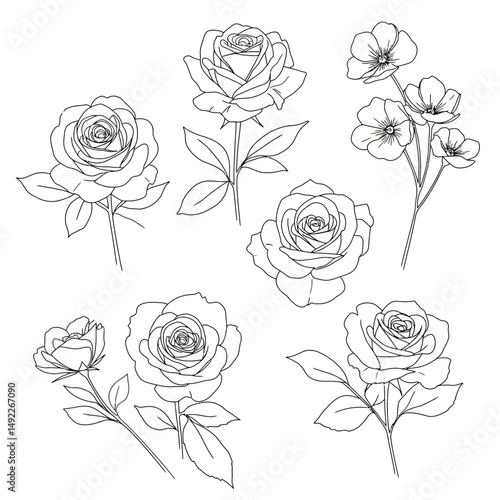 This beautifully crafted vector illustration features an elegant rose flower, showcasing intricate petal details and a timeless design. The image highlights the delicate curves and textures of the ros