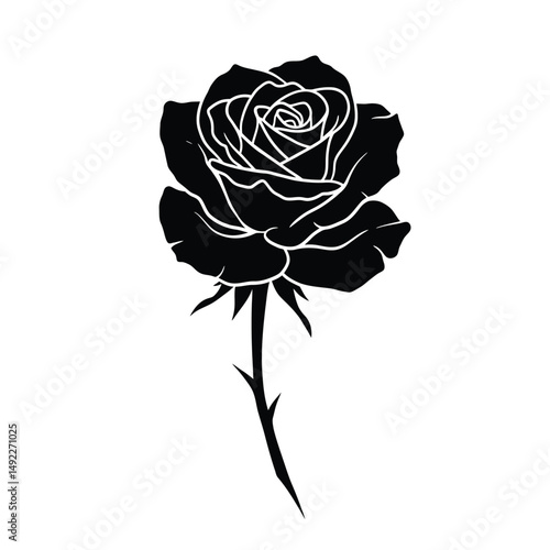 This beautifully crafted vector illustration features an elegant rose flower, showcasing intricate petal details and a timeless design. The image highlights the delicate curves and textures of the ros