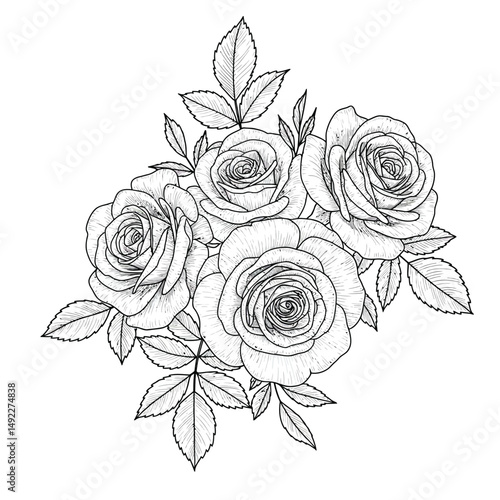 This beautifully crafted vector illustration features an elegant rose flower, showcasing intricate petal details and a timeless design. The image highlights the delicate curves and textures of the ros