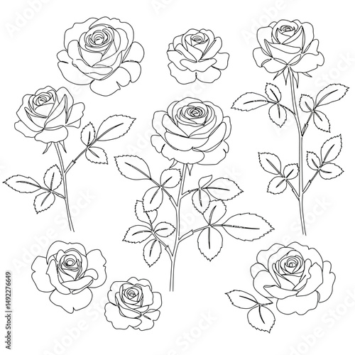 This beautifully crafted vector illustration features an elegant rose flower, showcasing intricate petal details and a timeless design. The image highlights the delicate curves and textures of the ros