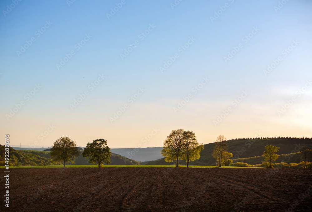 Fototapeta premium trees in valley of river saar in germany