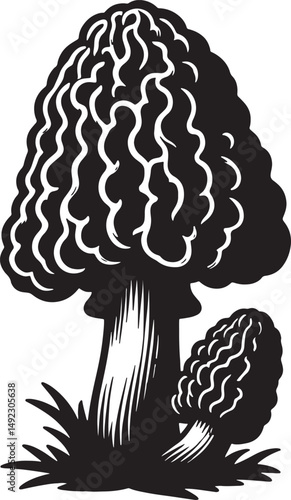 Two morel mushrooms in black and white with textured caps and stems illustration