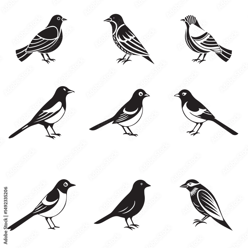 Fototapeta premium Black and White Roller bird 9