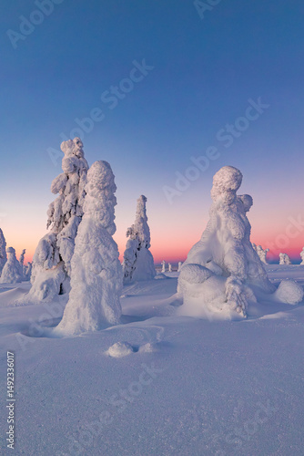 winter landscape with snow