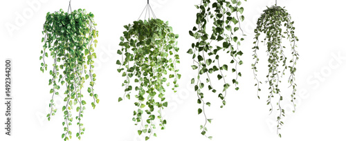 Hanging Greenery