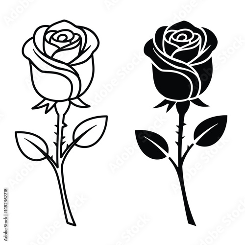 Ross Flowers vector art illustration.   roses isolated on white transparent background. a Ros vetch leaves vector silhouette artwork illustration.