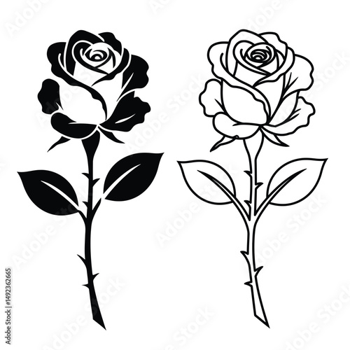 Ross Flowers vector art illustration.   roses isolated on white transparent background. a Ros vetch leaves vector silhouette artwork illustration.