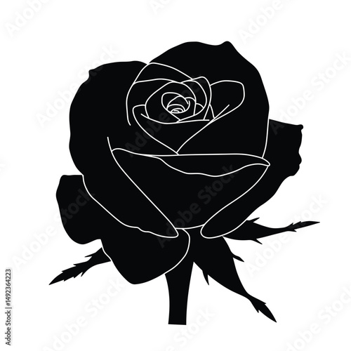Ross Flowers vector art illustration.   roses isolated on white transparent background. a Ros vetch leaves vector silhouette artwork illustration.