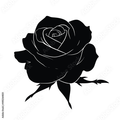Ross Flowers vector art illustration.   roses isolated on white transparent background. a Ros vetch leaves vector silhouette artwork illustration.