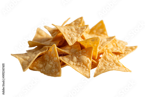 Tortilla Texture isolated