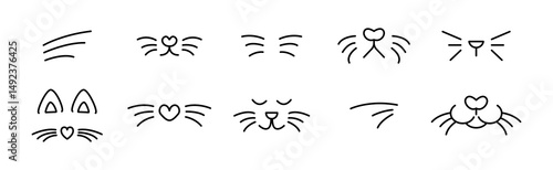 cat whiskers doodle