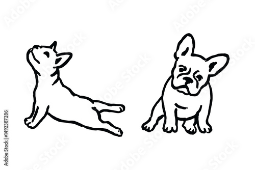 french bulldog puppies sketch vector illustration