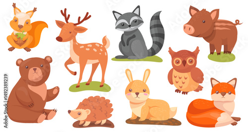 Cartoon wild forest animals. Cute woodland animal characters, childish bear adorable squirrel baby rabbit kid deer wildlife zoo wood land inhabitants set, neat vector illustration