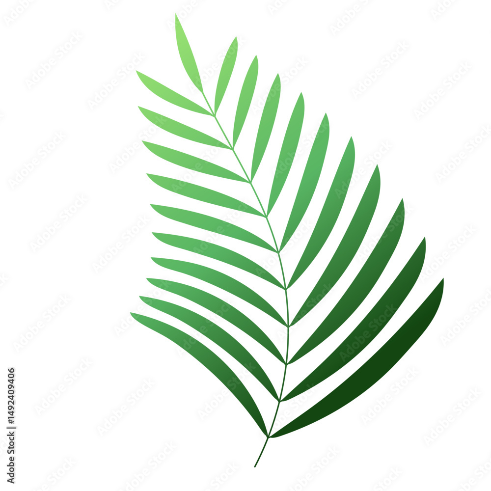 Fototapeta premium Palm Leaf Decoration