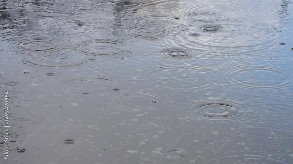 水溜りに雨粒が落ちる4Kスローモーション動画 水溜りに雨粒が落ちる4Kスローモーション動画