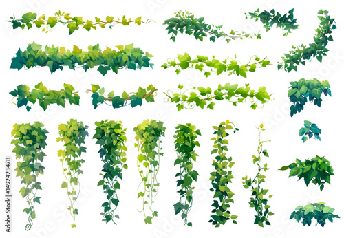Jungle liana. Cartoon tropical branch vine, creeper green leaves plant wall climber set vector illustration