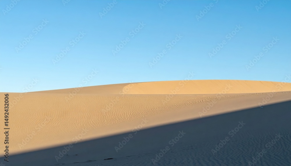Naklejka premium Exploring the vast sand dunes desert environment landscape photography natural beauty scenic view