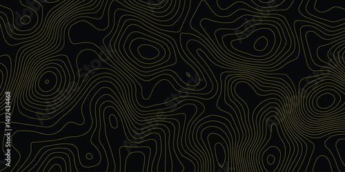 Background of the topographic map. Topographic lines, contour background. topo map texture. Dense lines, Background of the topographic map. Topographic lines texture.