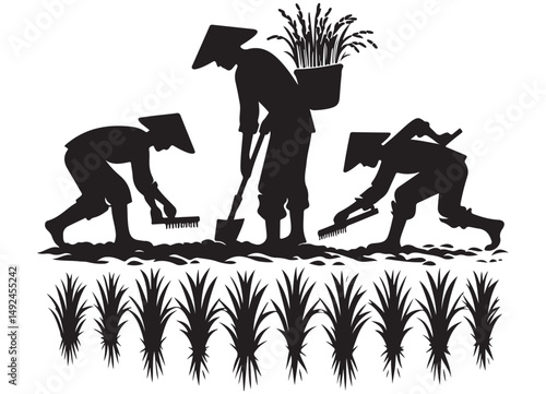 Farmers Cultivating Rice in Field Silhouette Vector Illustration