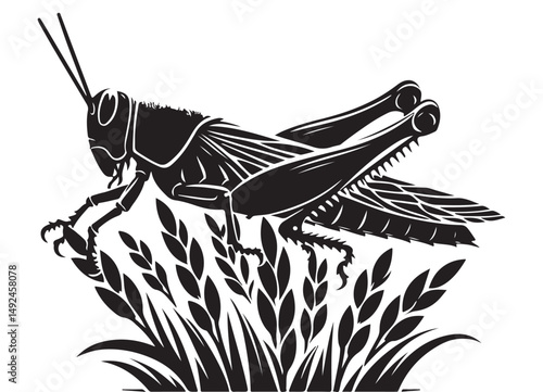 Grasshopper silhouette illustration perched on wheat stem drawing