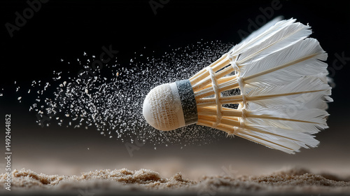 Shuttlecock in Motion: An i...