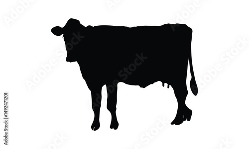 Silhouette of a Cow, A Black Cow Silhouette on a White Background