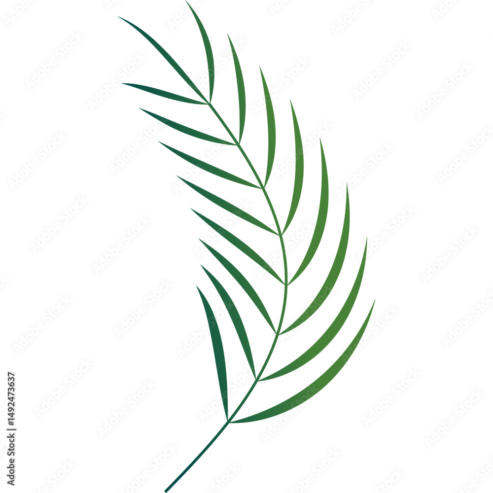 Fototapeta premium Palm Leaf Decoration