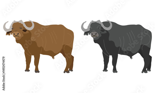 Grey and Brown Buffalo Vectors, Bull Vectors, Bull and Buffalo Illustration Set on a White Background
