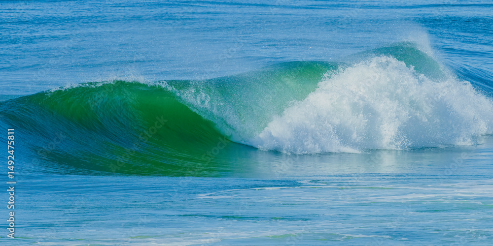 Obraz premium Breaking ocean wave, sunlit wave art panorama, in Queensland, Australia.