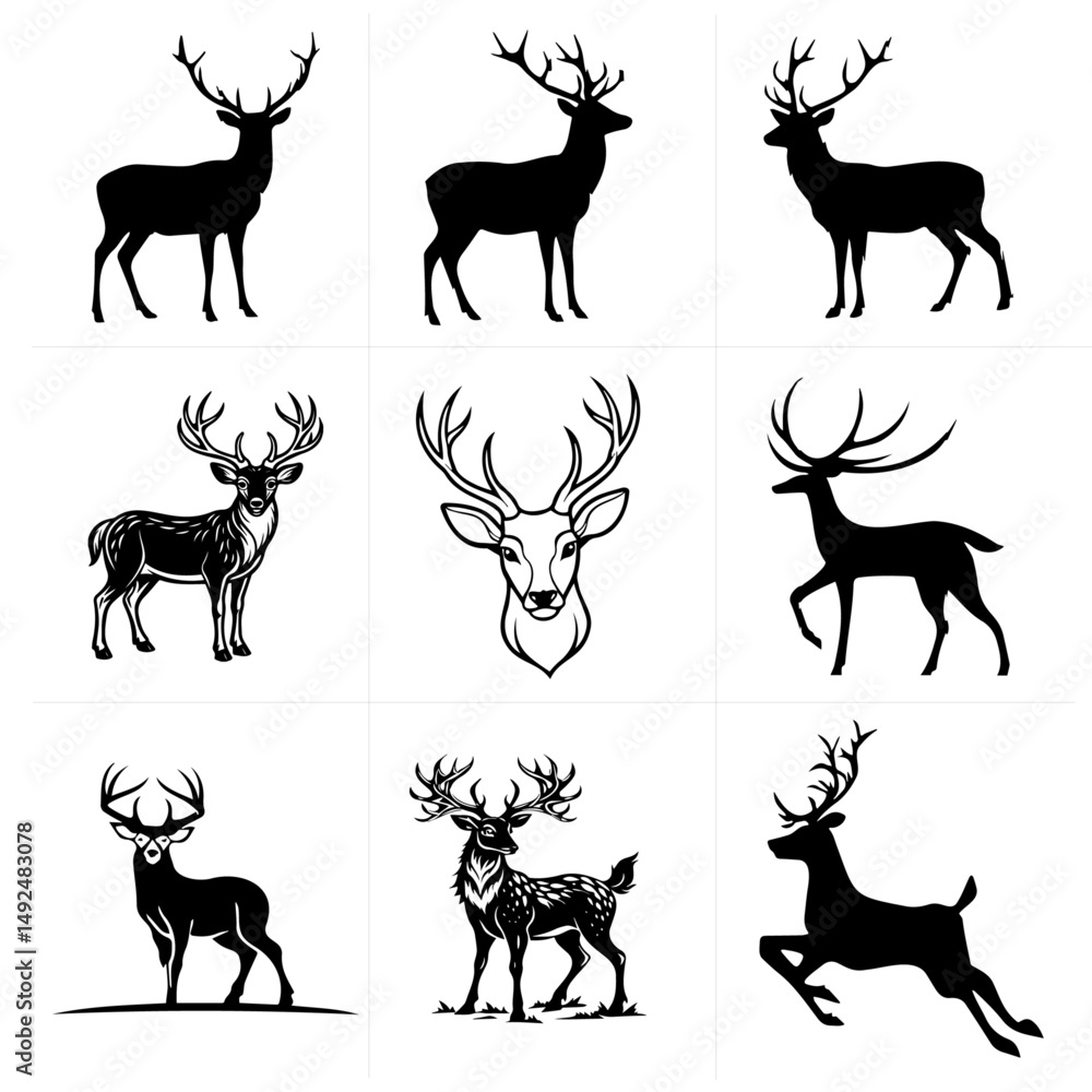 Fototapeta premium Black and white Vector set 13
