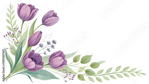 Watercolor purple tulip corner bouquet floral arrangement isolated on transparent background