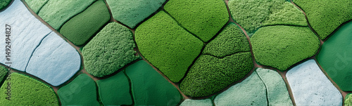 Abstract Textured Stone-lik...