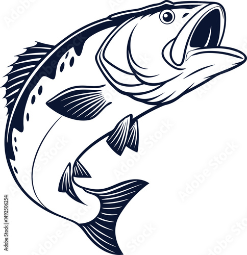 Barramundi fish silhouette and outline — vector on white background.