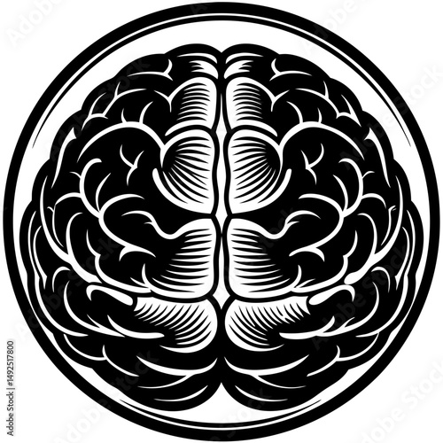 Human brain inside a circle silhouette vector illustration