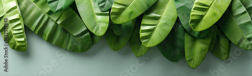 Botanical Greenery: A capti...