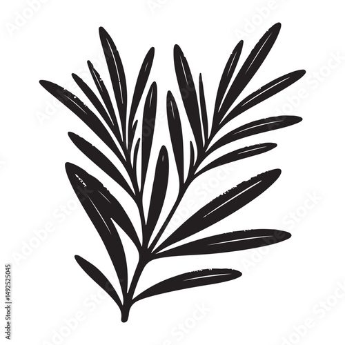 Elegant Rosemary Sprig Illustration Aromatic Herb for Culinary Designs