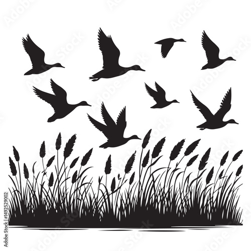 Silhouette ducks flying over reeds vector illustration for nature designs