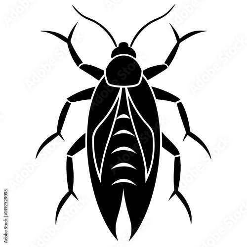 Black and White Stylized Cockroach Illustration