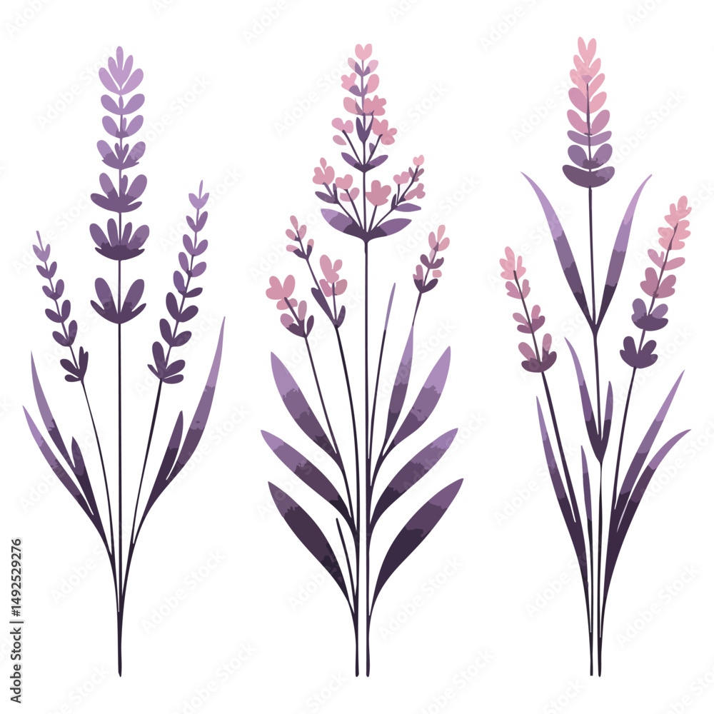 Fototapeta premium Watercolor Lavender Flowers Illustration for Natural Beauty and Aromatherapy