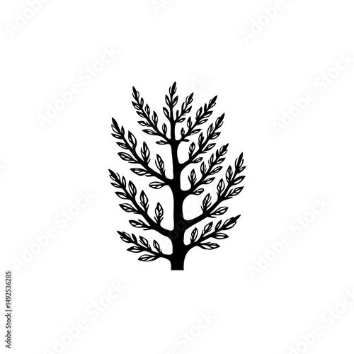 Stylized botanical illustration of a delicate tree with patterned leaves