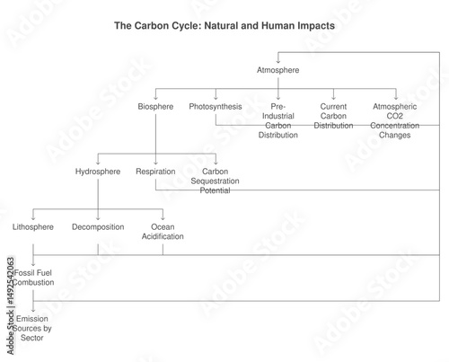 diagram illustrating the natural and human impacts of the carbon cycle, showcasing its intricate processes and environmental consequences