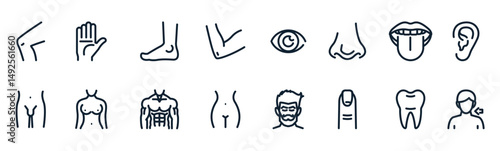 Human Anatomy icons with White Background
