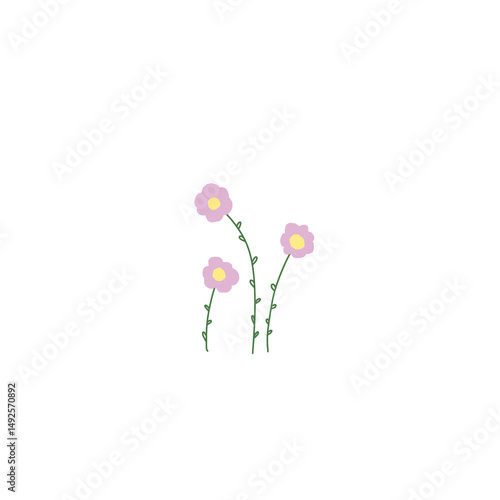 pink flowers on white background