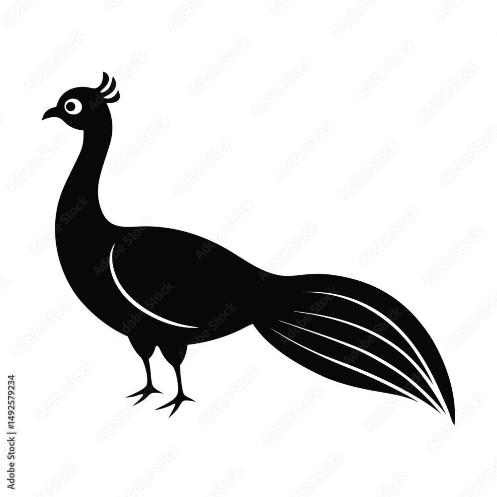 Fototapeta premium Silhouette of a Peacock